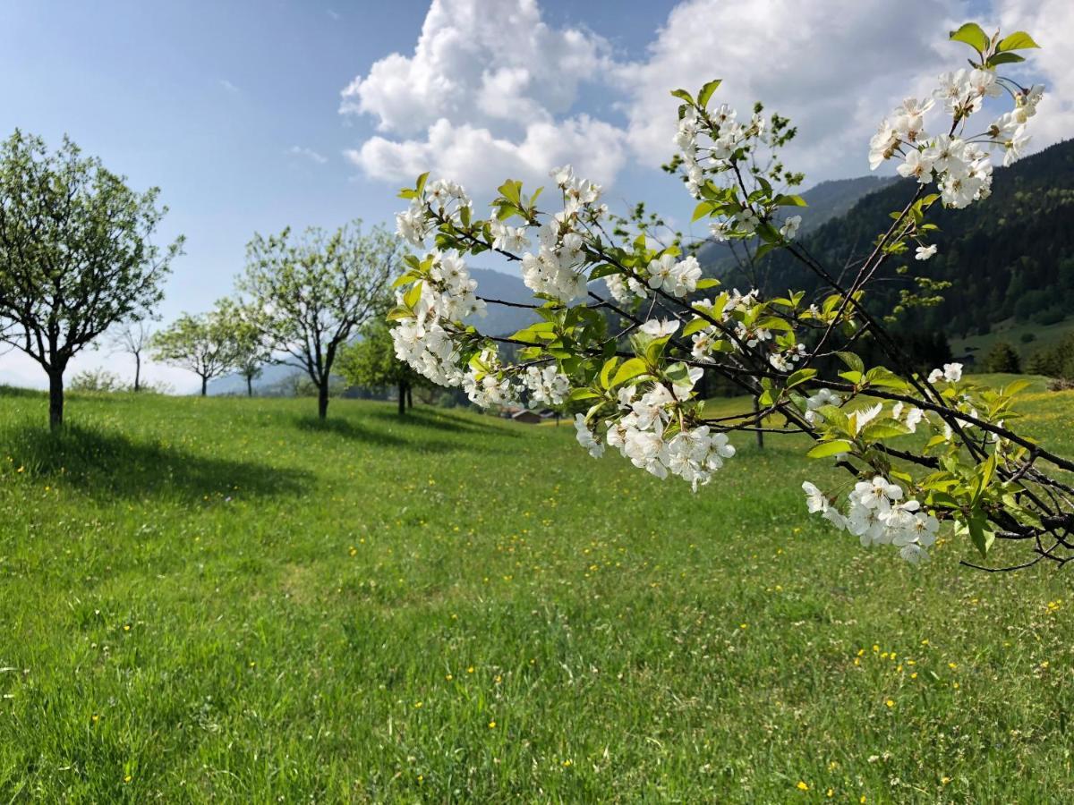 Hotel Alpenhof Kruen Zewnętrze zdjęcie