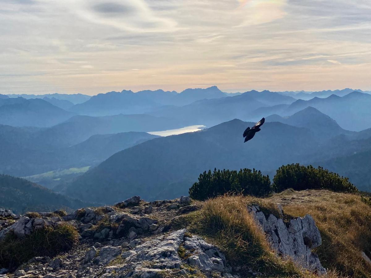 Hotel Alpenhof Kruen Zewnętrze zdjęcie